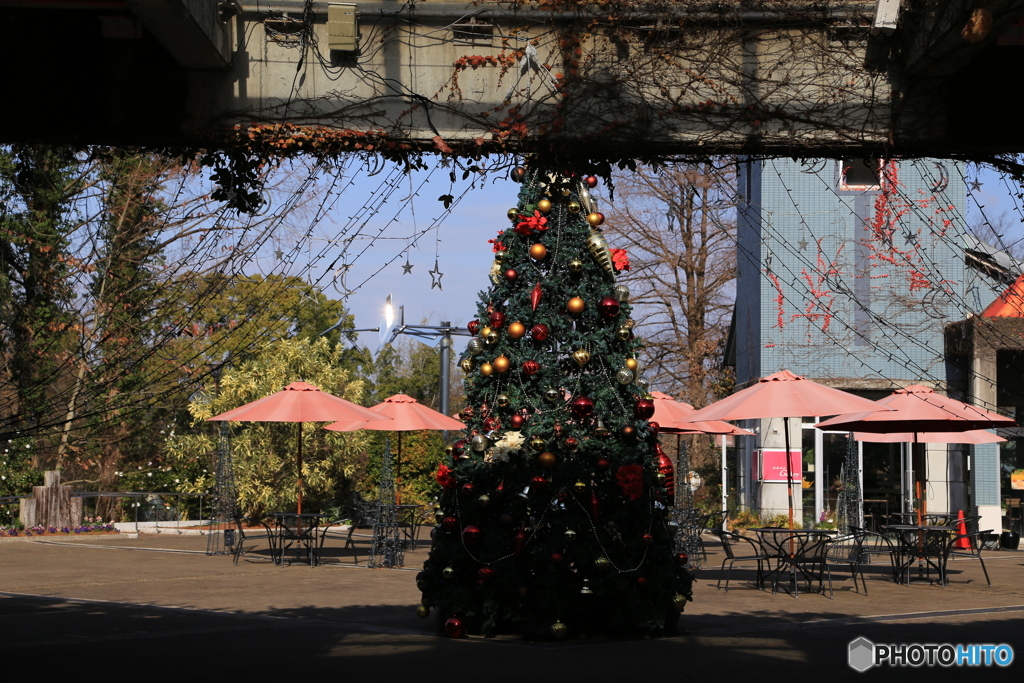もうすぐクリスマス