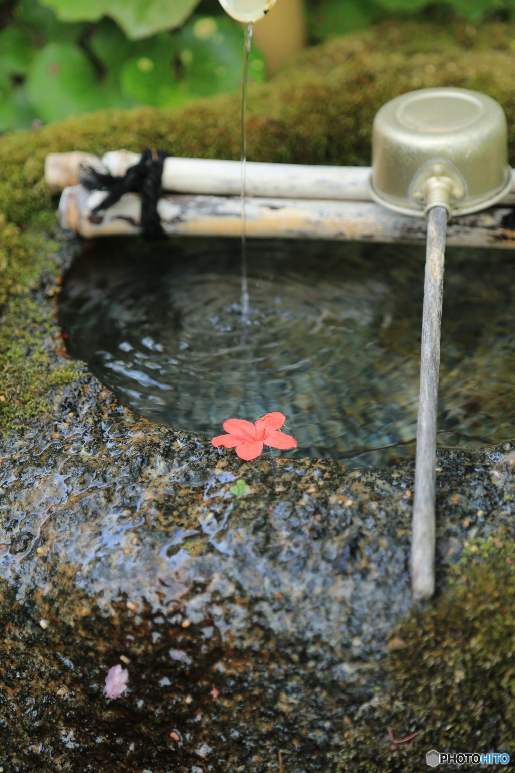 水受け