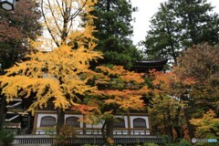 永平寺の紅葉