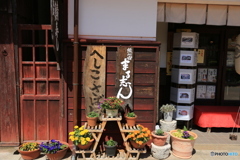 へしこ鯖店