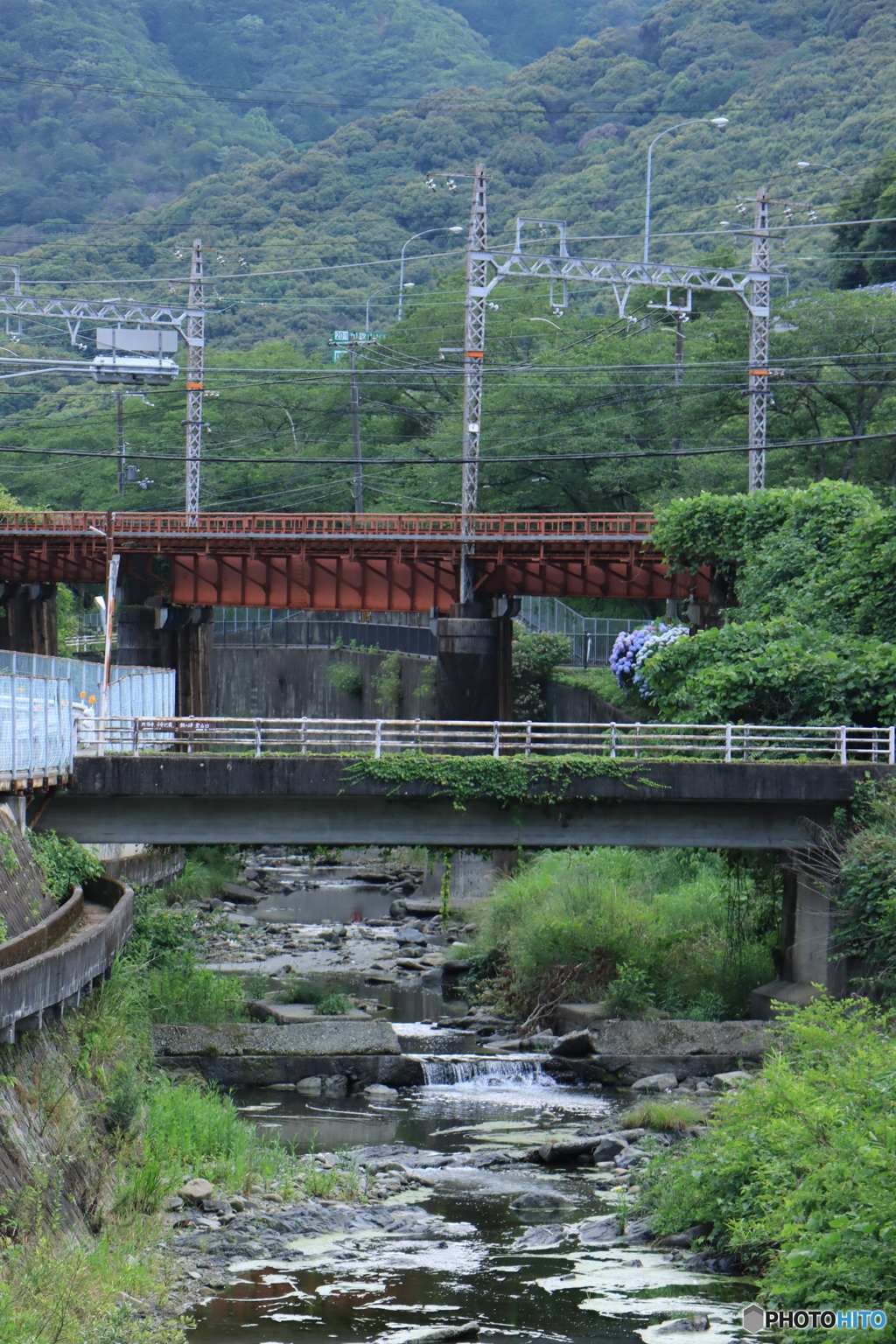 橋