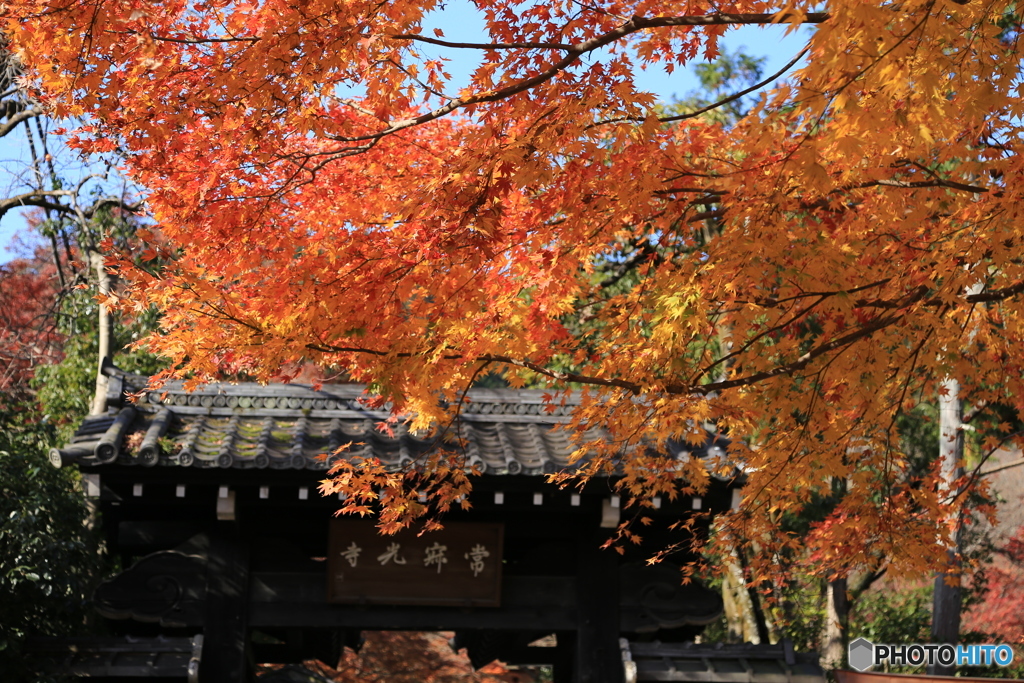 京都　嵐山　嵯峨野