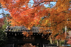 京都　嵐山　嵯峨野