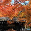 京都　嵐山　嵯峨野