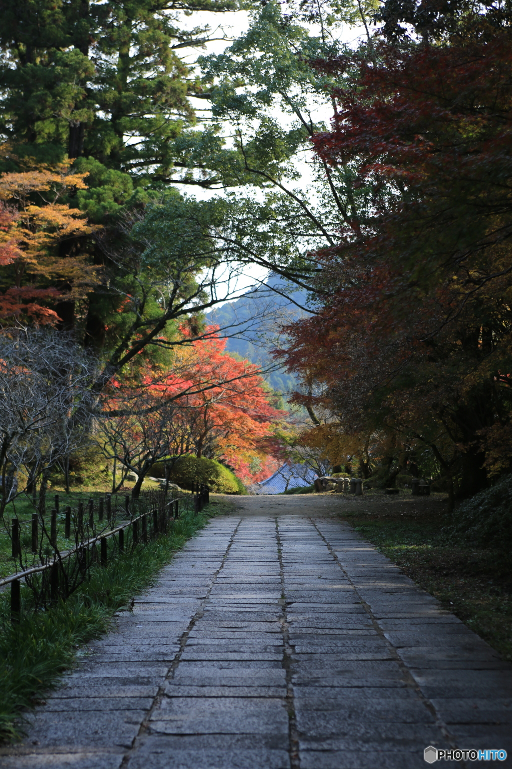 参道