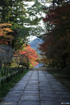 参道