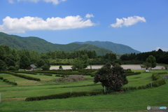 夏の景色