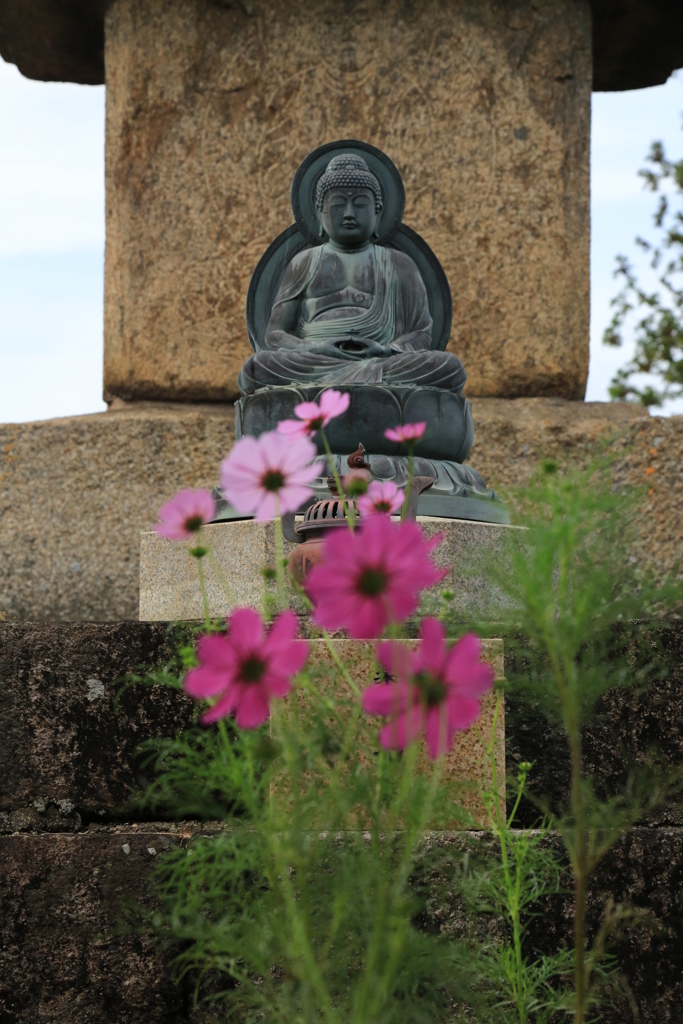 秋のお供え花