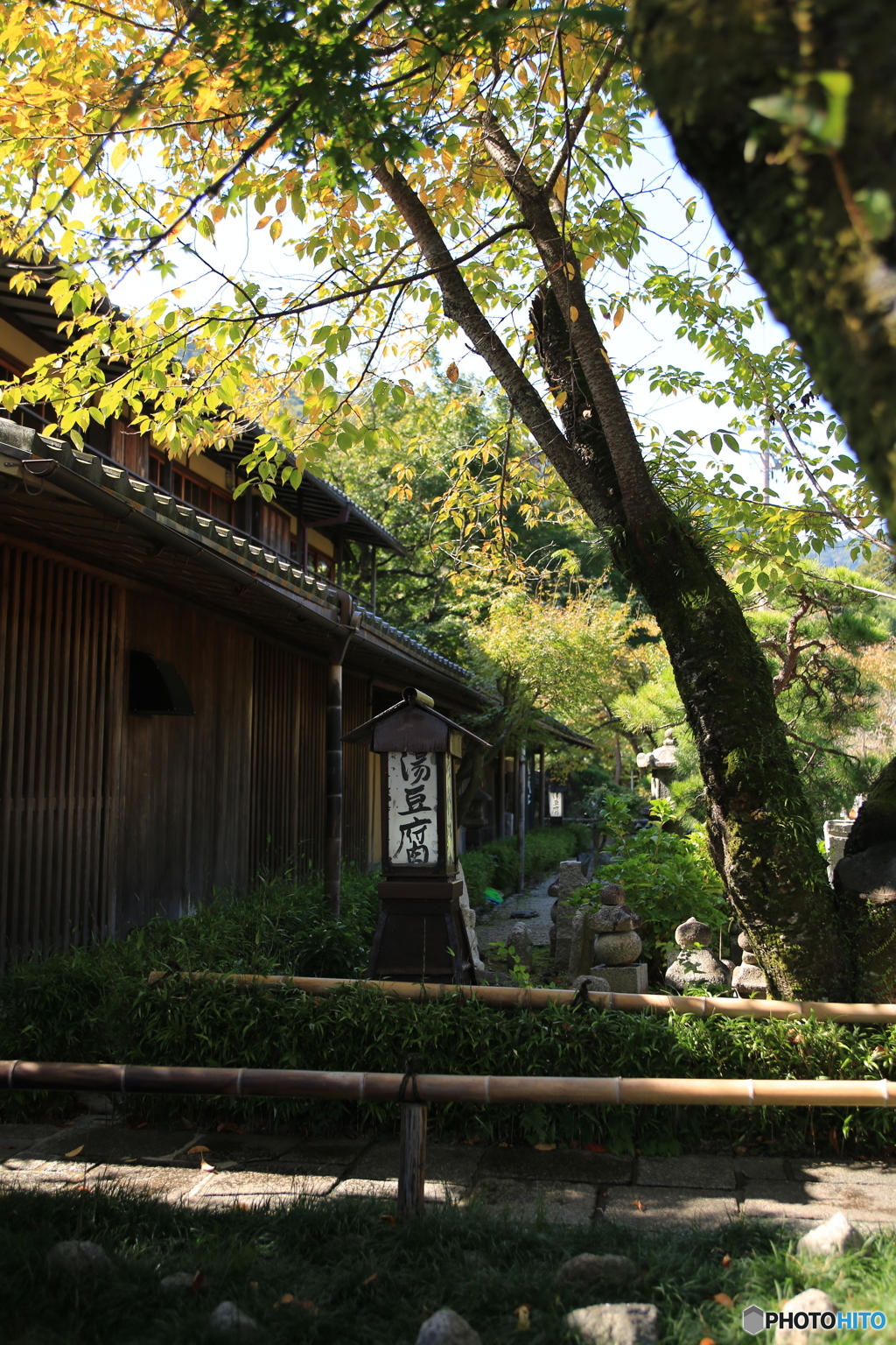 京都　嵯峨野湯豆腐