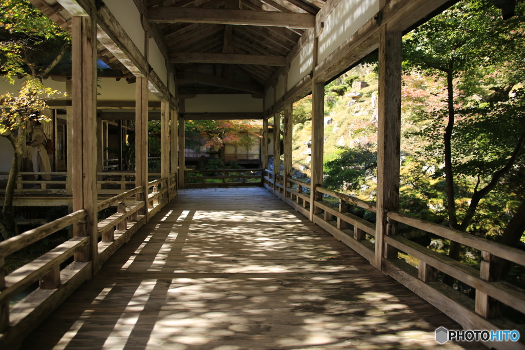 常照皇寺　紅葉5