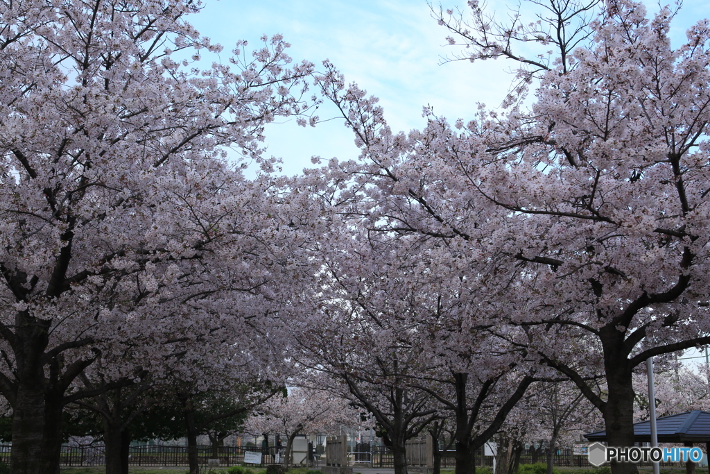 公園の入り口