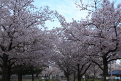 公園の入り口