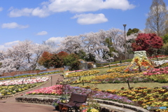 春　爛漫