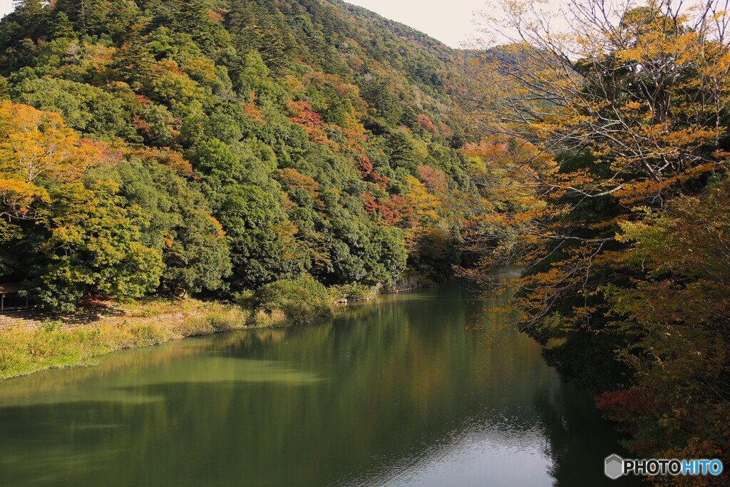 紅葉はまだ！