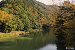 紅葉はまだ！