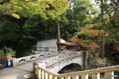 秋を探しに境内に