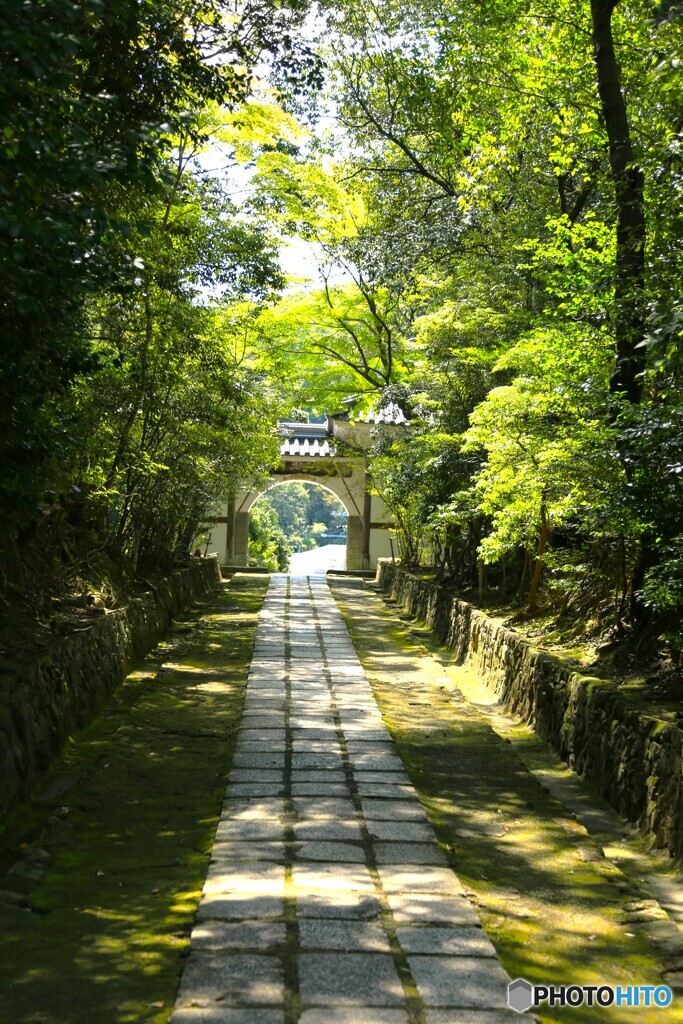 参道
