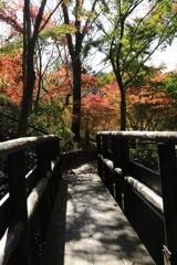 秋への橋