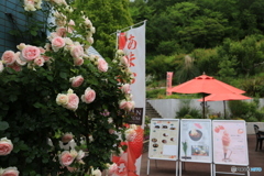 薔薇のカフェ