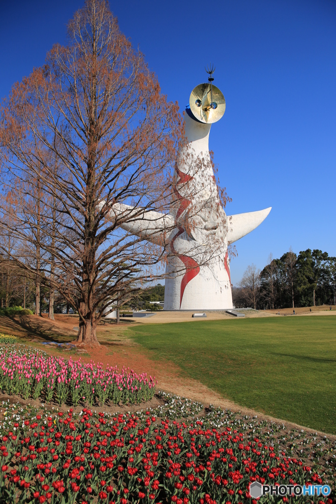 万博記念公園