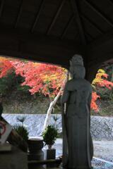 観音様・紅葉