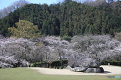 明日香村　石舞台古墳