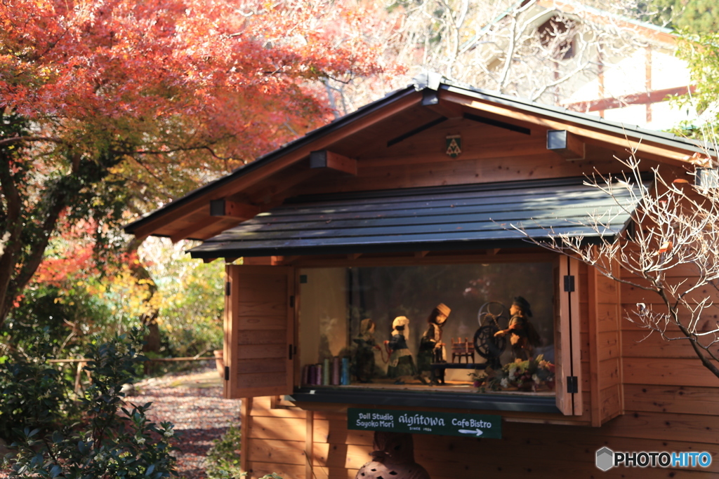 京都　ドールハウスの紅葉