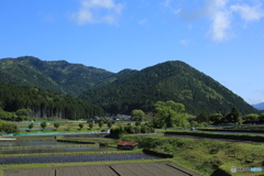 田舎 田舎