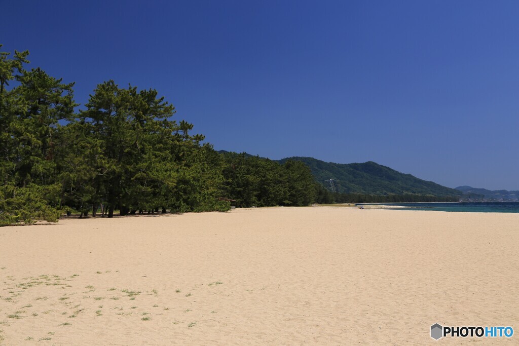 砂浜