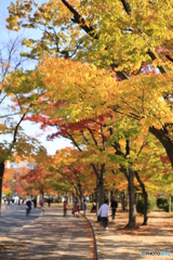 都会の公園の秋