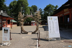 輪くぐり