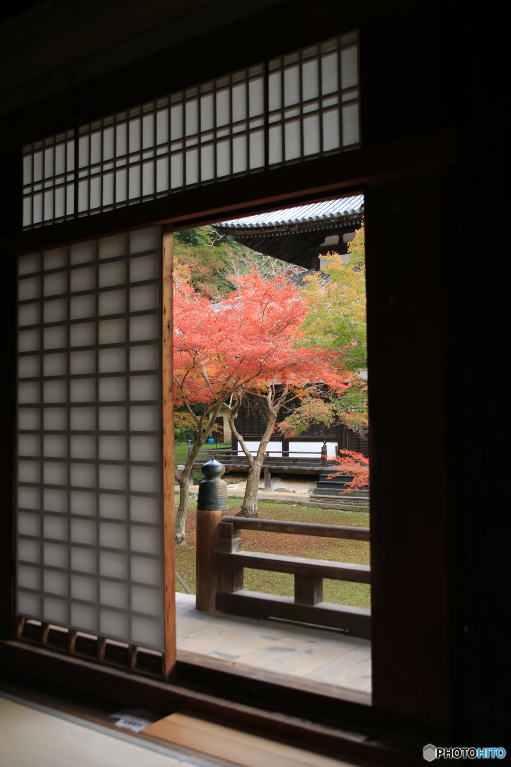 紅葉の額縁