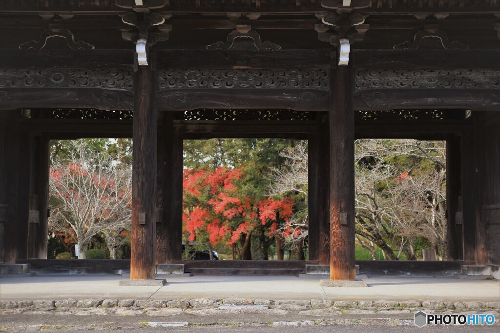 和歌山の紅葉2