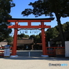 京都　上賀茂神社　朝