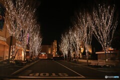 ユニバーサルスタジオ夜景