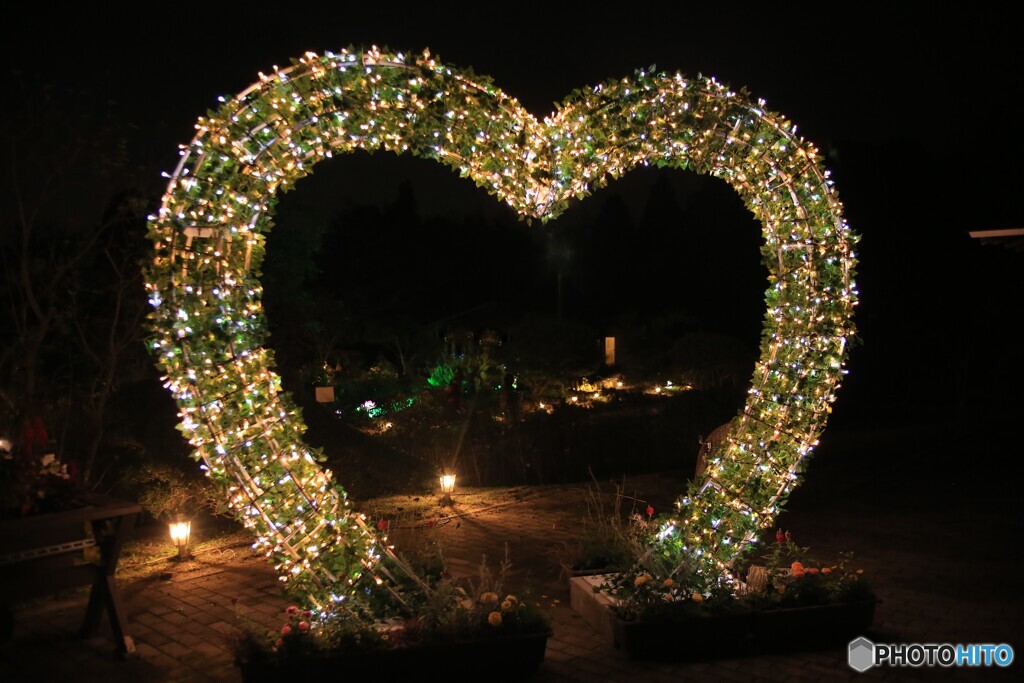 イルミネーション　4