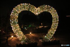 イルミネーション 4