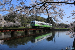 さくらと電車