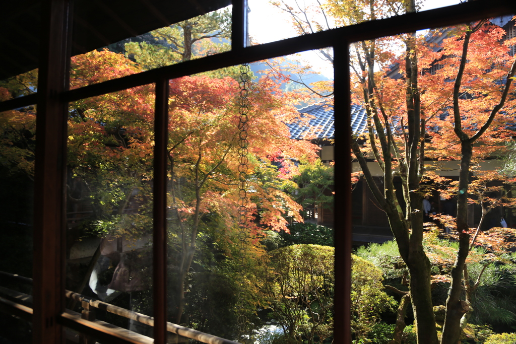 窓の外は秋