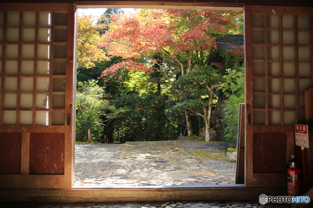 常照皇寺　紅葉6
