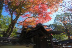 満願寺の秋の始まり2