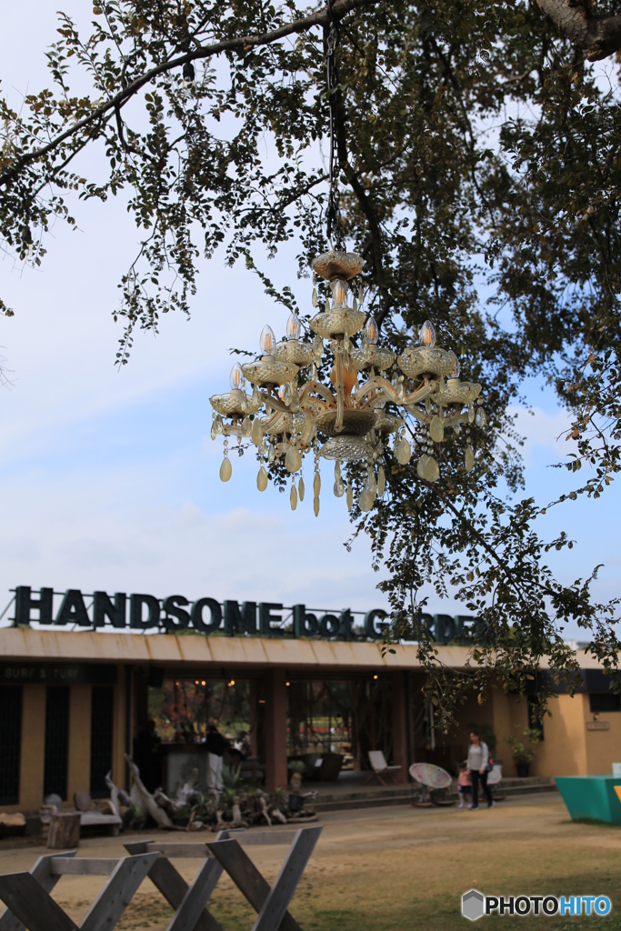 公園の中のカフェ