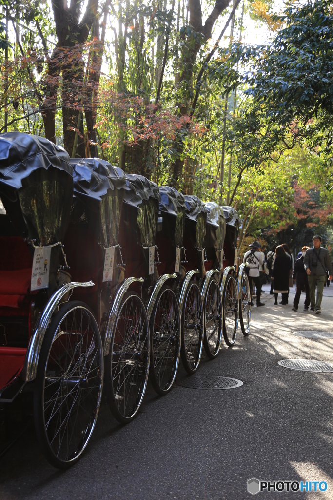 嵐山　名物人力車