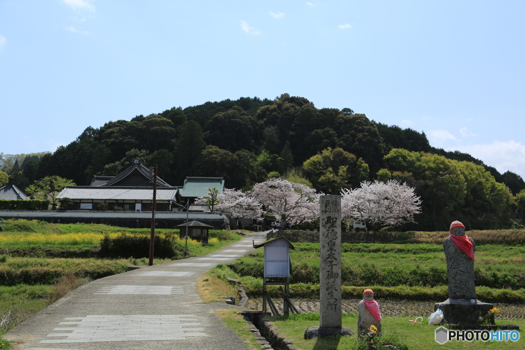 明日香のお寺