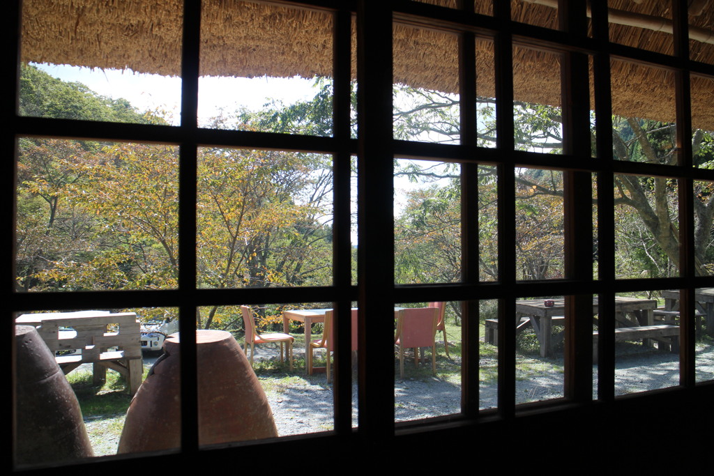 窓から秋を探す