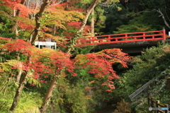 紅葉３