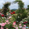 薔薇の入り口