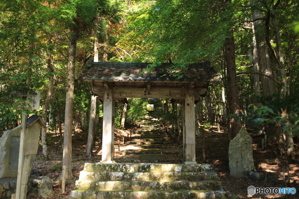 常照皇寺　紅葉2