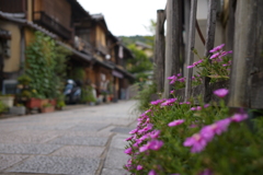 京都東山