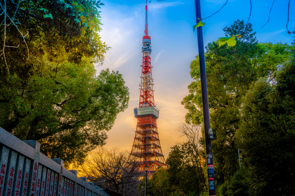 夕日輝く東京タワー
